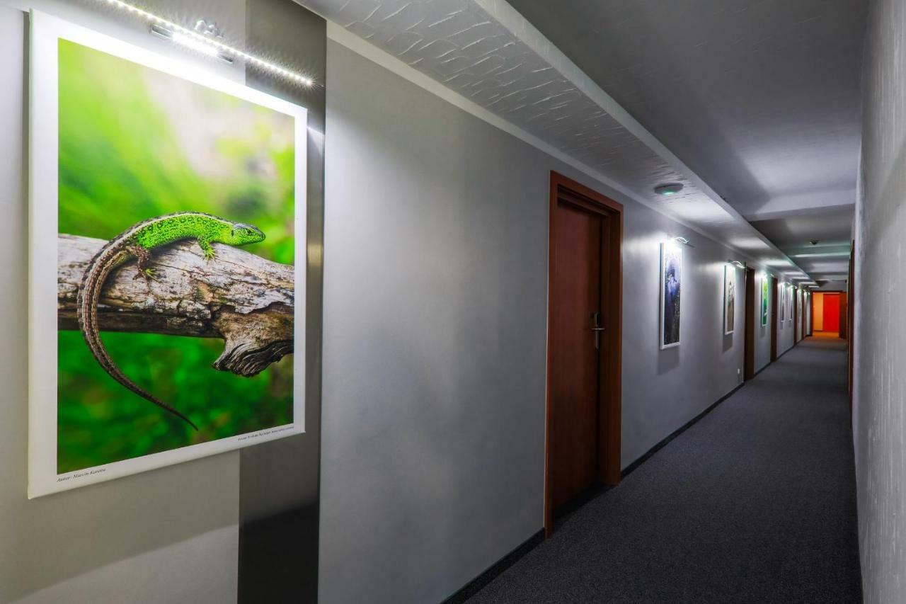 Hotel Pod Jedlami Visla Exteriér fotografie